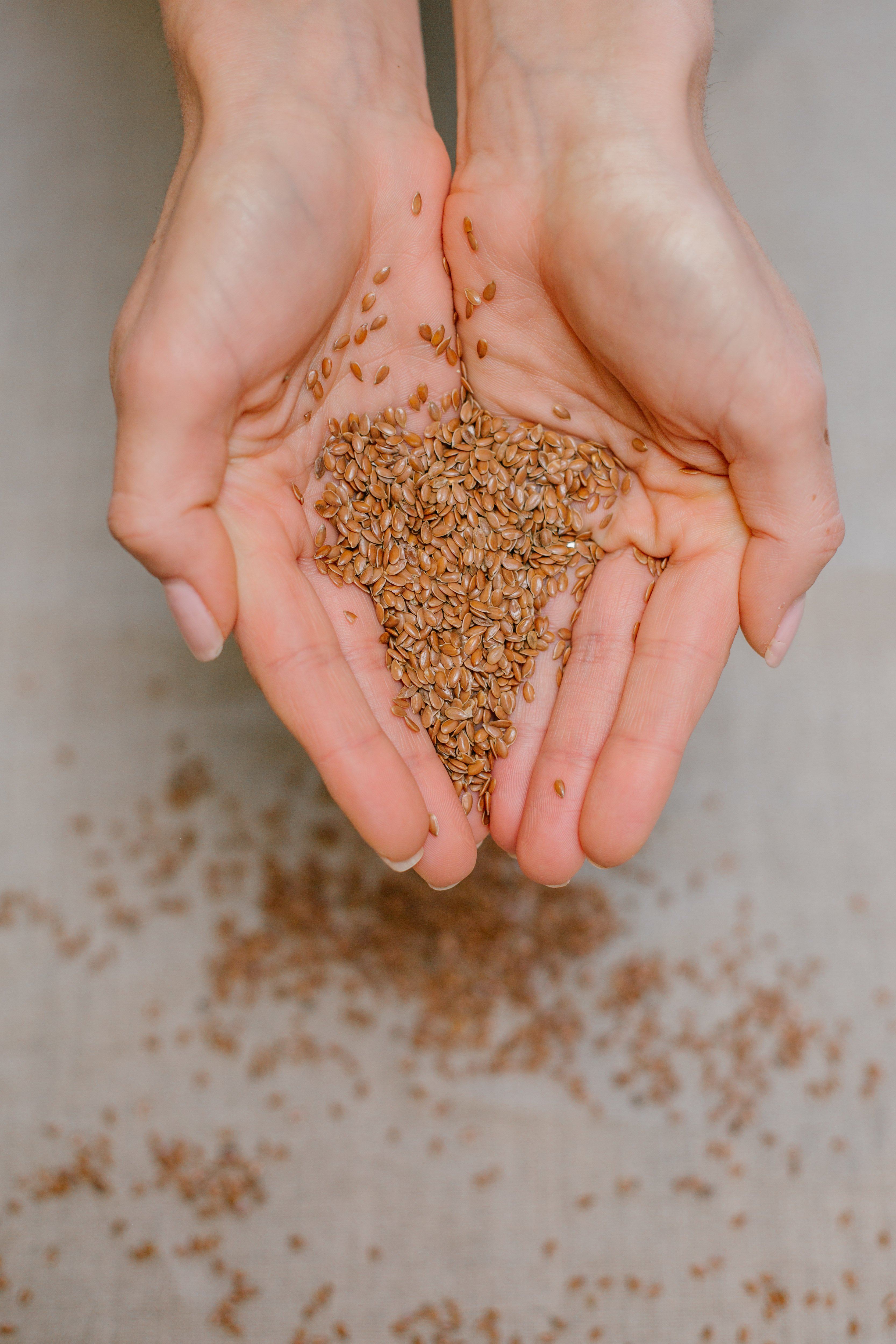 Health Benefits of Flax Seeds that are backed up by science